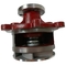 Pompe à eau de moteur de Deutz BFM1013  D7D 02937441