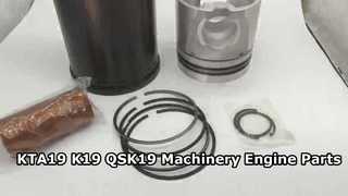 Revêtement 4308809 de pièces de moteur de machines de KTA19 K19 QSK19 KTA19