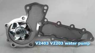 Pompe à eau V2403 V2203
