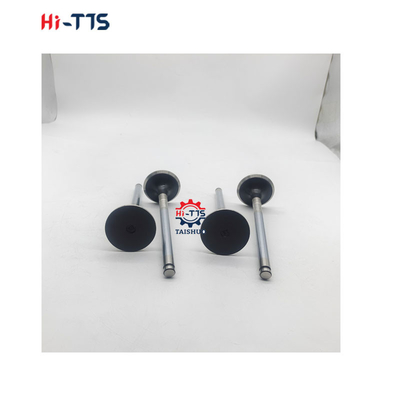 D2366 Pièces détachées de moteur diesel