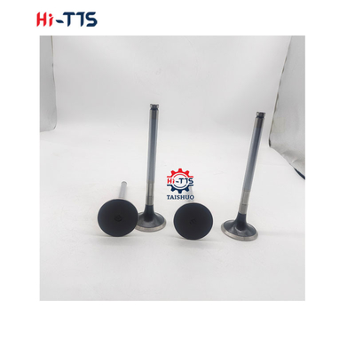 D2366 Pièces détachées de moteur diesel