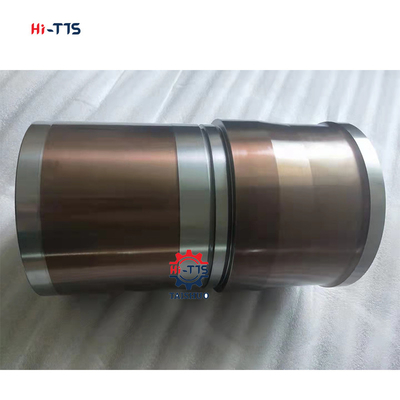 Pour les véhicules à moteur à cylindre QSX15 ISX15 X15 4101507