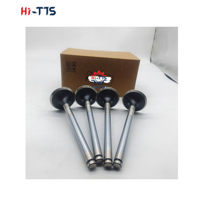 D2366 Pièces détachées de moteur diesel